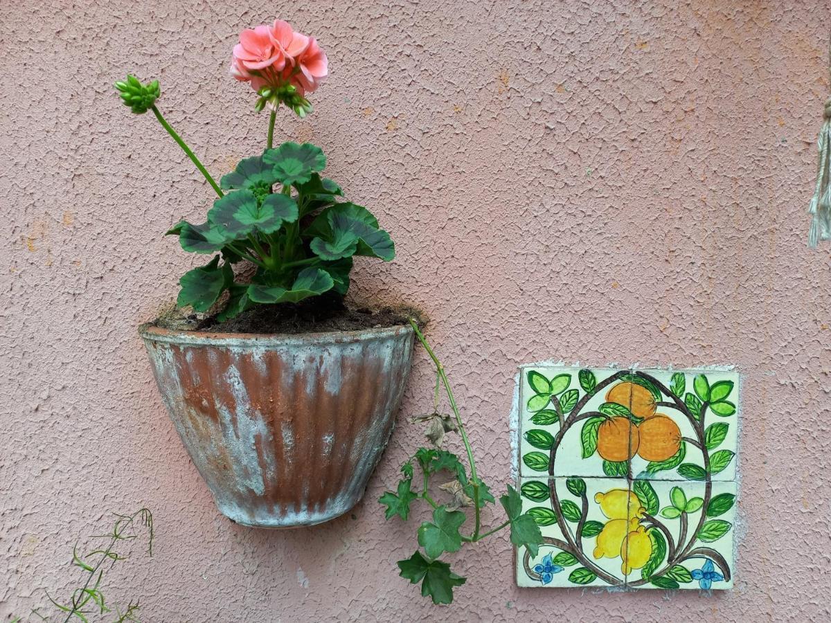 Antica Casa Al Lago Oggebio Dış mekan fotoğraf