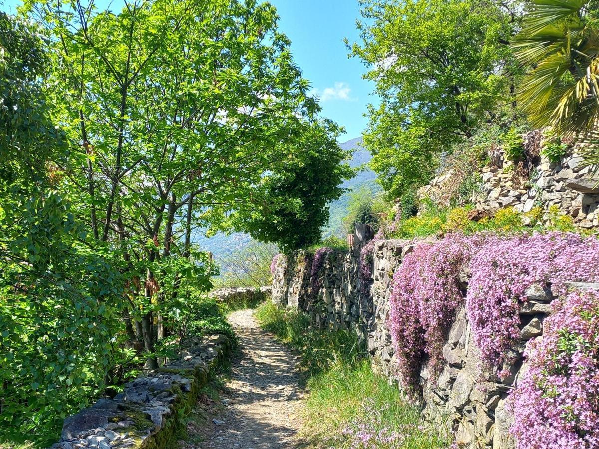 Antica Casa Al Lago Oggebio Dış mekan fotoğraf